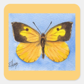 California Dogface Butterfly Sticker