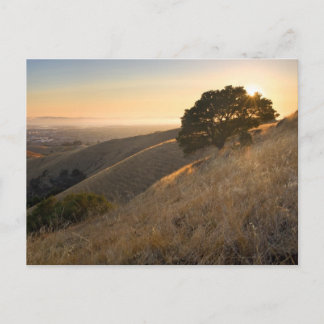 California East Bay Hills in Summer briefkaart