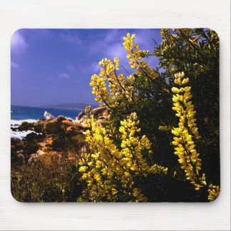 California Floral Coast Mousepad Muismat