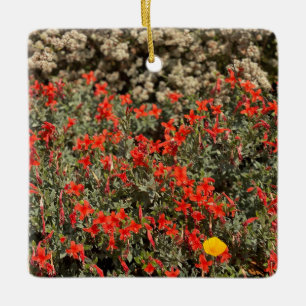 California Fuchsia Keramisch Ornament