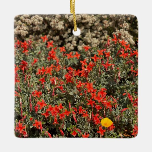 California Fuchsia Keramisch Ornament (Voorkant)