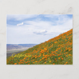 California Golden Poppies Briefkaart