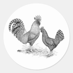 California Grey Rooster en Hen Ronde Sticker