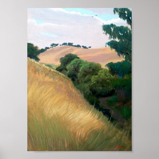 California Hills Poster (Voorkant)