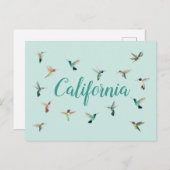 California Hummingbird Briefkaart (Voorkant / Achterkant)