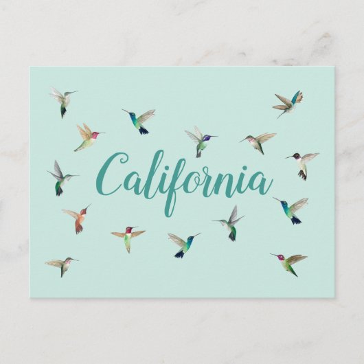 California Hummingbird Briefkaart (Voorkant)