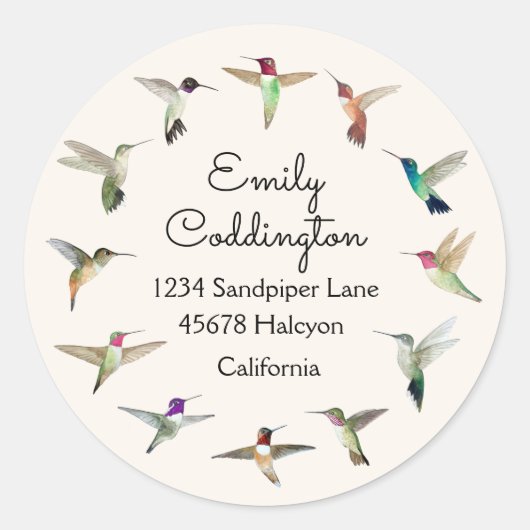 California Hummingbird Ronde Sticker (Voorkant)