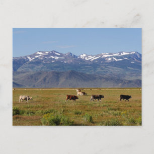 California HWY 395 Landscape Briefkaart