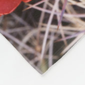 California, Joshua Tree National Park, Claret Fleece Deken (Hoek)