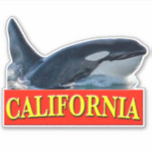 California Killer Whale Sticker (Voorkant)