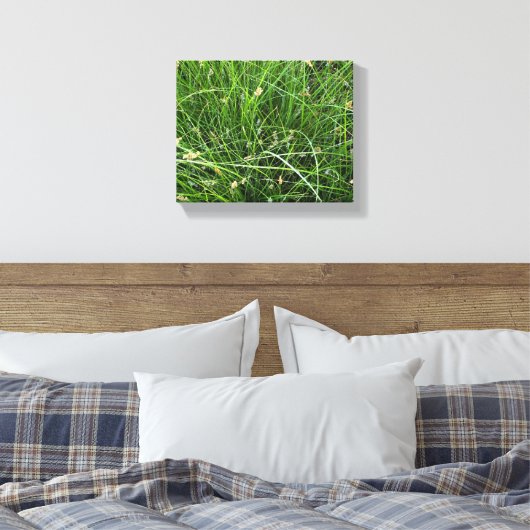 California Meadow Sedge Canvas Afdruk (Insitu (Slaapkamer))