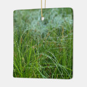California Meadow Sedge Ceramic Ornament (Links)