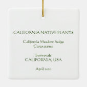 California Meadow Sedge Ceramic Ornament (Achterkant)