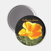 California Native Magneet (Voorkant / Achterkant)