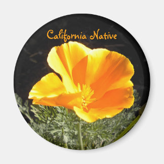 California Native Magneet