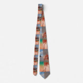 California Necktie Stropdas (Achterkant)