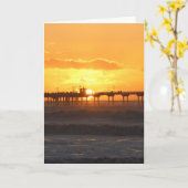 California Peer op Sunset Kaart (Gele Bloem)
