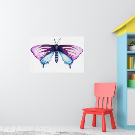 California pipevine swallowtail butterfly poster