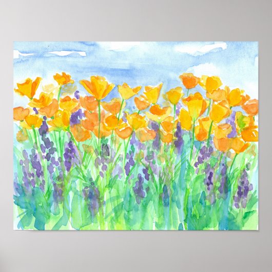 California Poppies Lupines Poster (Voorkant)