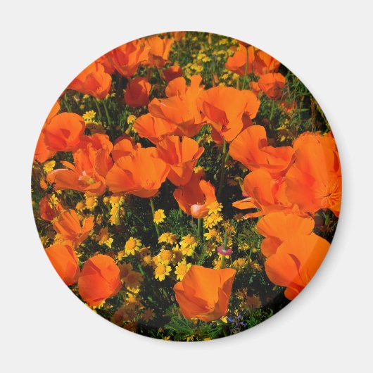 California Poppies Magneet (Voorkant)