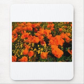 California Poppies Muismat