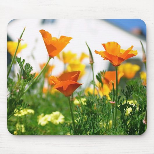 California Poppies Muismat (Voorkant)