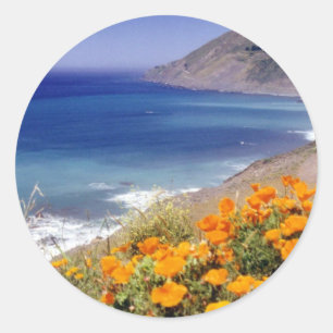 California Poppies Ronde Sticker