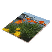 California Poppies Tegeltje (Zijkant)