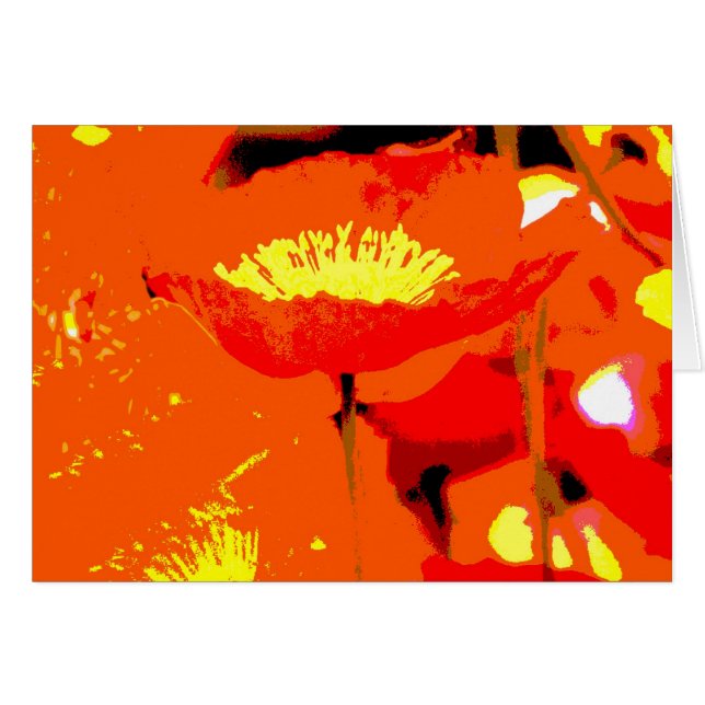California Poppy (Voorkant Horizontaal)