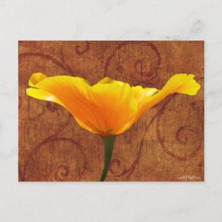California Poppy Briefkaart