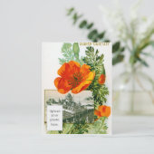 California Poppy Briefkaart (Staand voorkant)