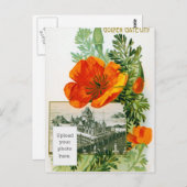 California Poppy Briefkaart (Voorkant / Achterkant)
