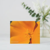 California Poppy Briefkaart (Staand voorkant)