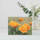 California Poppy Briefkaart (Staand voorkant)