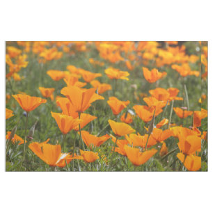 California Poppy Field Stof