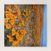 California Poppy Fields - Bloemen - 20x20 - 676 pc Legpuzzel (Horizontaal)