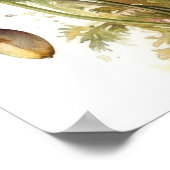 California Poppy Flowers Art Print Poster (Coin)