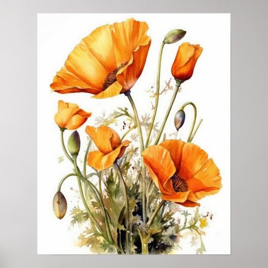 California Poppy Flowers Art Print Poster (Devant)