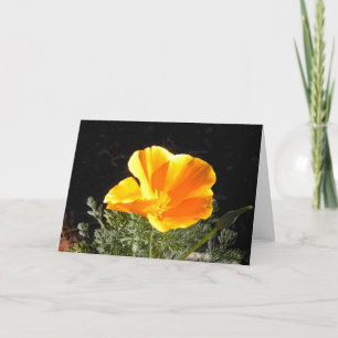 California Poppy in bloei Kaart