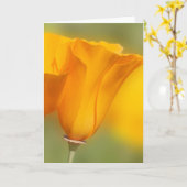 California Poppy Kaart (Gele Bloem)