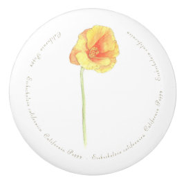 California Poppy Keramische Knop