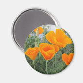 California Poppy Magneet (Voorkant / Achterkant)