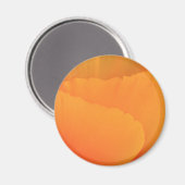 California Poppy Magneet (Voorkant / Achterkant)