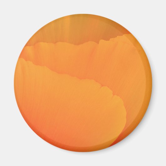 California Poppy Magneet (Voorkant)