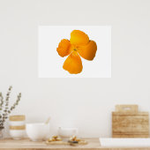 California Poppy Poster (Cuisine)