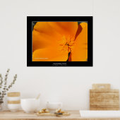 "California Poppy" Poster (Keuken)