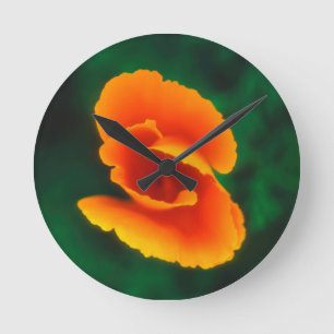 California Poppy Ronde Klok