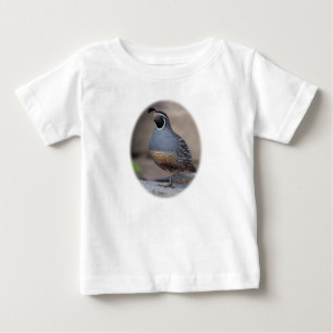California Quail