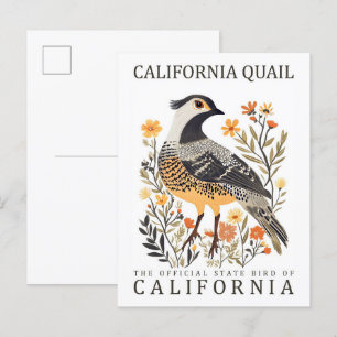 California Quail Bird of California Verenigde Stat Briefkaart
