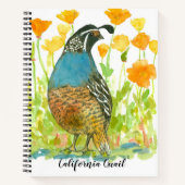 California Quail Bird Poppies Journal aquarelle (Devant)